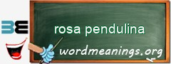 WordMeaning blackboard for rosa pendulina